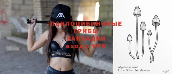 амфетамин Лабытнанги